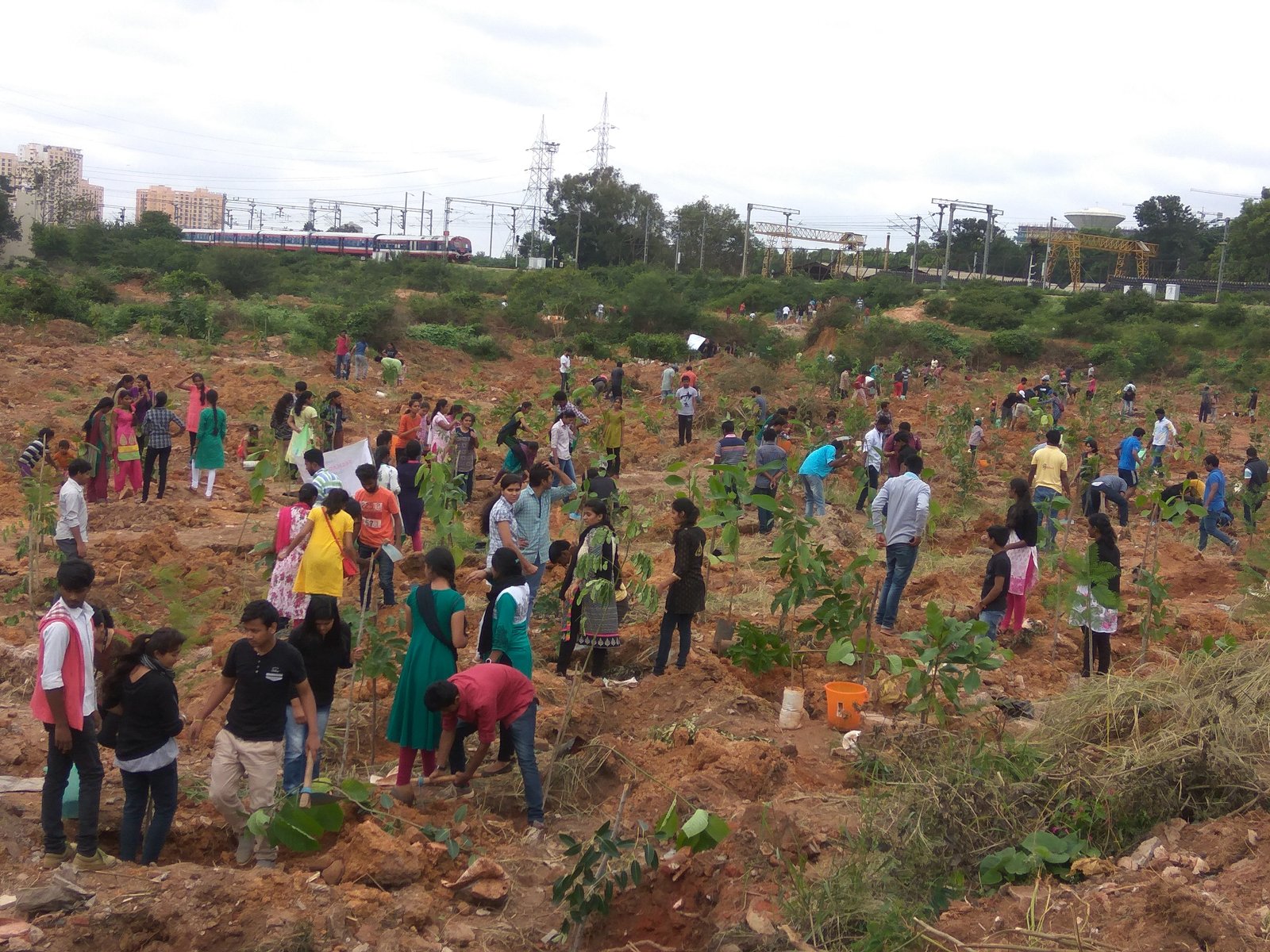 Tesco Bengaluru Plantation Drive-1 (1)