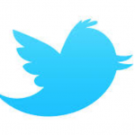 Tweet – The Chirp Of a Small Bird That Can Be Heard