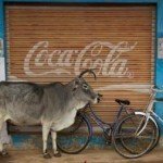 Why Brand Are So Important