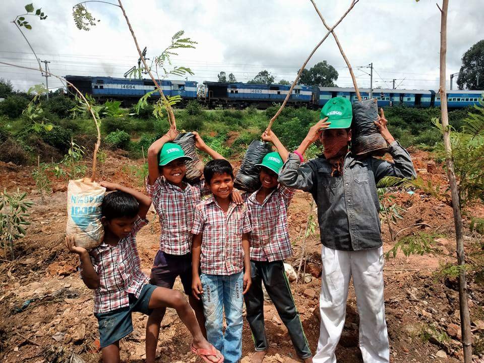 Tesco Bengaluru Plantation Drive-1 (2)