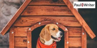 Dogs in the White House and frugal product management